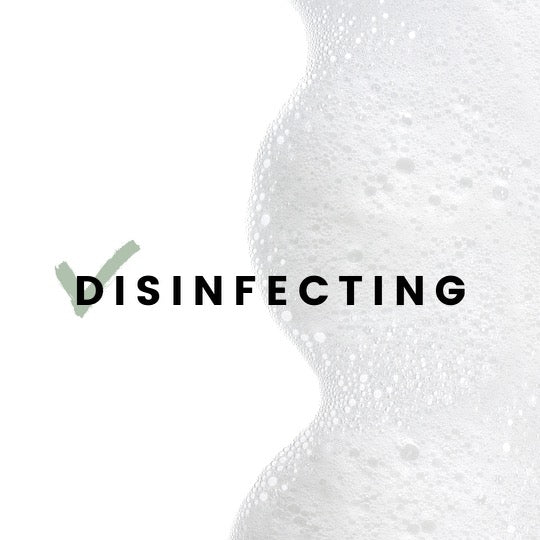 Image of lash extension foaming cleanser and the word 'disinfecting' over the top with a check mark.